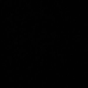 Meet your Posher, Dennis